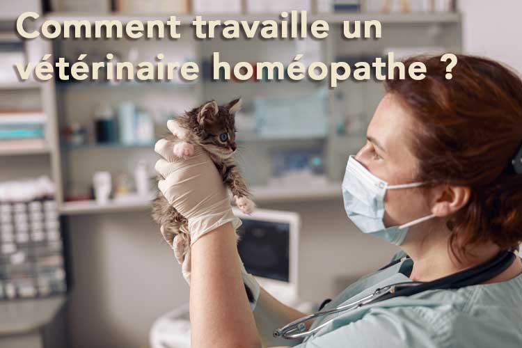 Comment travaille un vétérinaire homéopathe ?