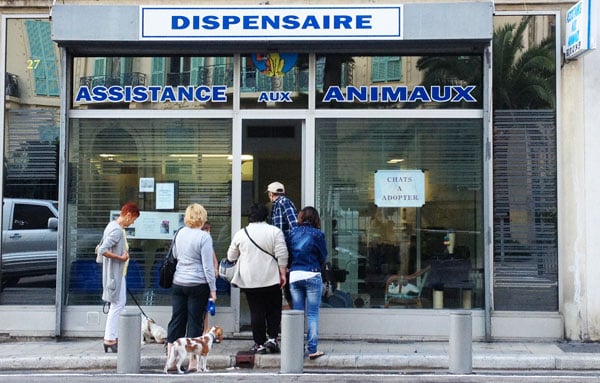 Comment faire quand on a pas d'argent pour payer le vétérinaire ?