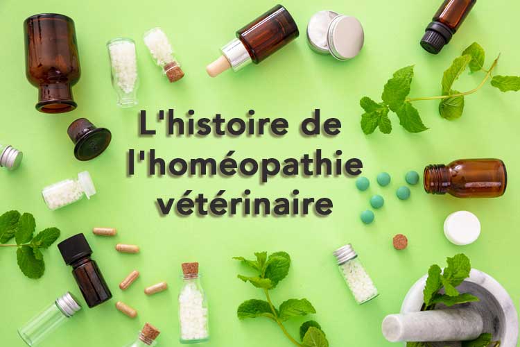 Histoire de l'homéopathie vétérinaire