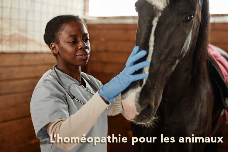 L'homéopathie pour les animaux : cheval, vache, chèvre et autres